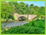 9th Jun 2024 - The River Coquet,Warkworth