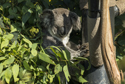 29th May 2024 - Hanging About