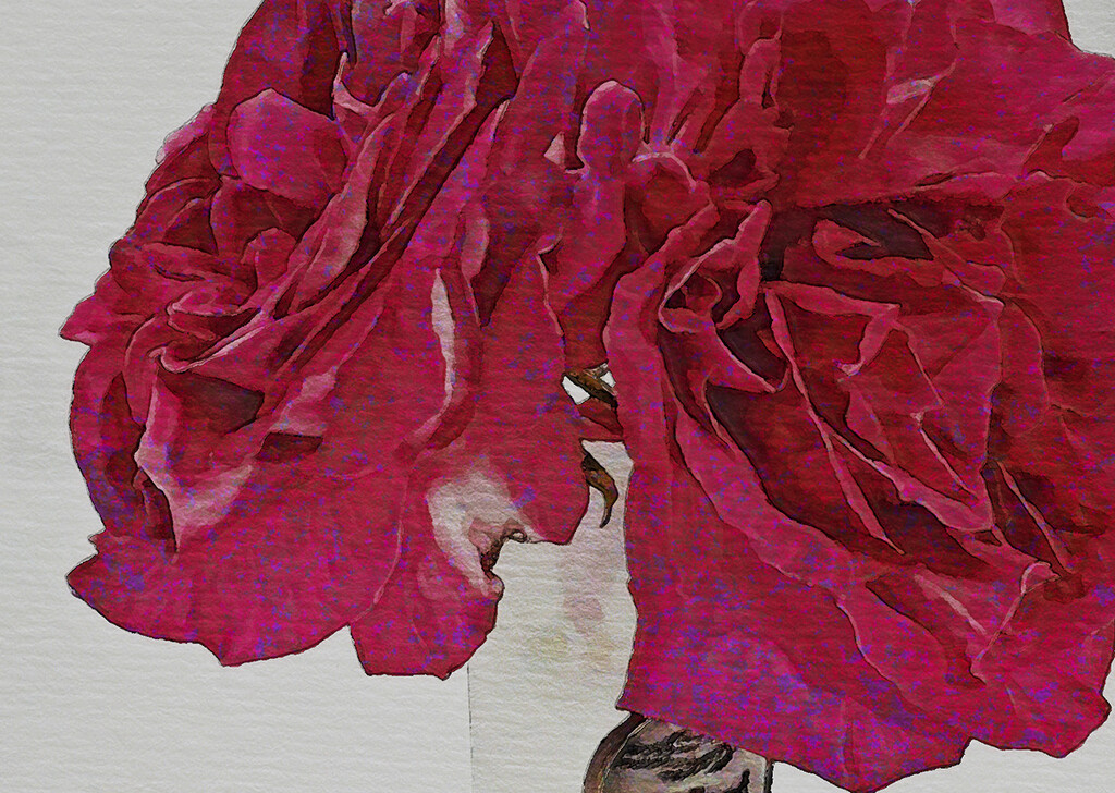 Abstract Red Roses by gardencat