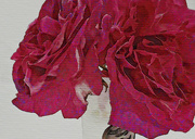 9th Jun 2024 - Abstract Red Roses