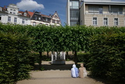 9th Jun 2024 - in Darmstadt's Prinz-Georg Garten
