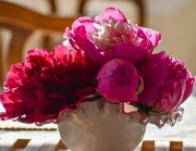 9th Jun 2024 - Three Variety Peony Bouquet