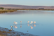 8th Jun 2024 - Low Tide