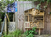 9th Jun 2024 - Insect hotel