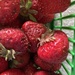 Strawberry Rhubarb Pie Day by spanishliz
