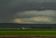 7th Jun 2024 - Farm in the Mist