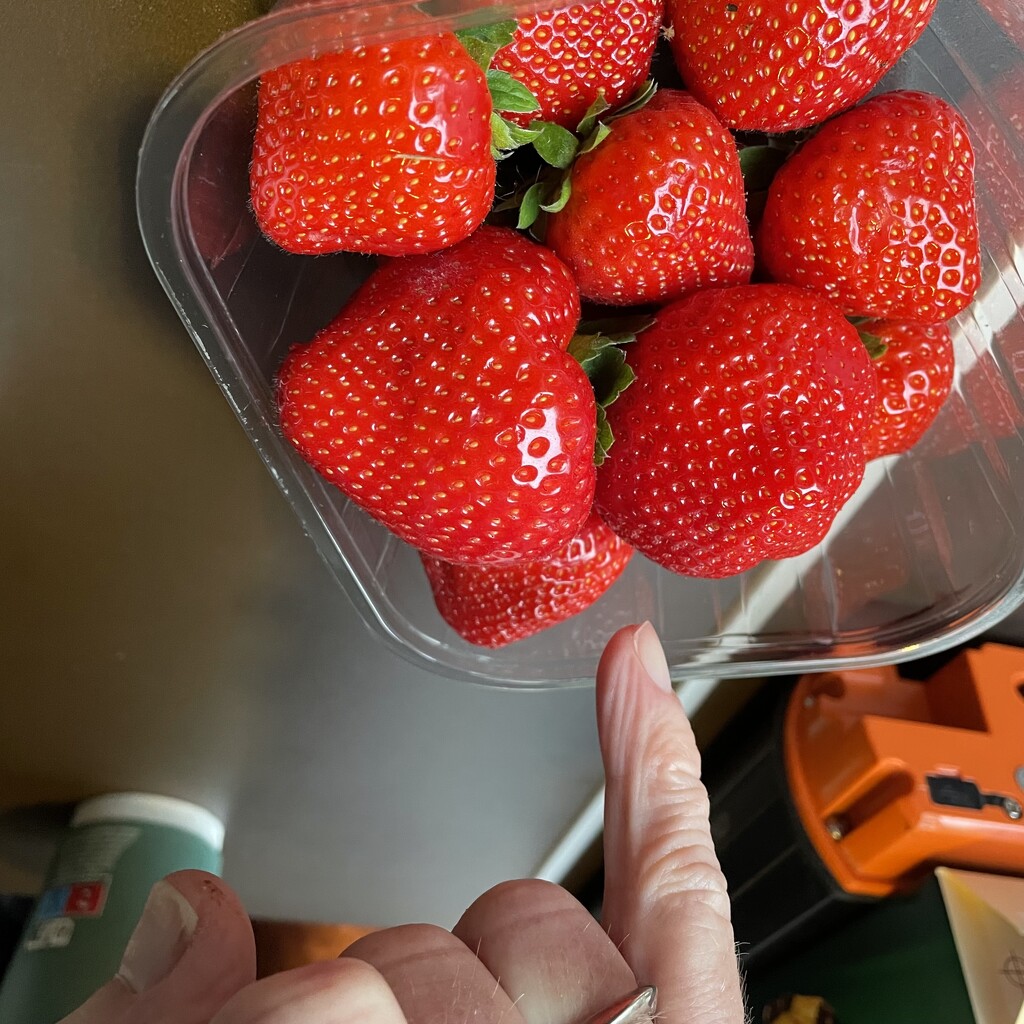 Ginormous strawberries  by thedarkroom