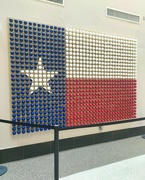 7th Jun 2024 - Texas Flag