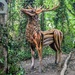D is for deer by zilli