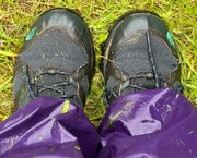 9th Jun 2024 - A soggy trip to the allotment