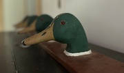 9th Jun 2024 - Duck decoy collection, Lake Lanier, GA