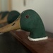Duck decoy collection, Lake Lanier, GA by swagman