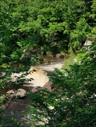 9th Jun 2024 - The Wild and Watery Way of the Bushkill Creek