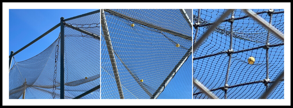 Batting Cage--with Balls by mcsiegle