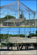 5th Jun 2024 - Batting Cage—Wider View