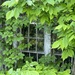 hidden window by amyk