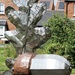 Sculpture - Acorn and Oak Leaf by fishers