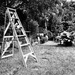 Garden Ladder  by chrispenfold