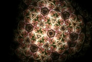 10th Jun 2024 - Floral Symphony in a Kaleidoscopic