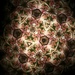 Floral Symphony in a Kaleidoscopic by vincent24