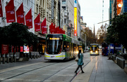 11th Jun 2024 - Morning trams Melbourne