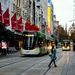 Morning trams Melbourne