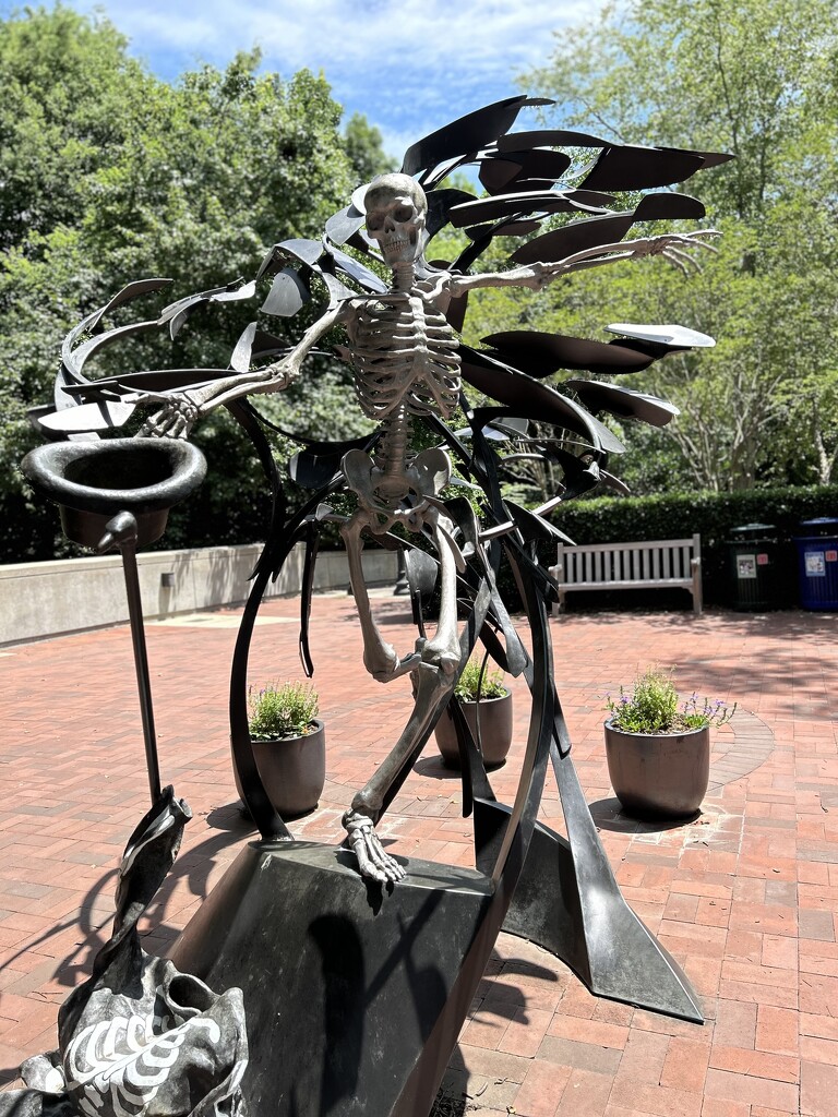 Statue of Dooley, Emory University mascot by swagman