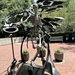 Statue of Dooley, Emory University mascot
