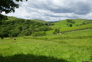 10th Jun 2024 - Elf Howe from Hall Lane