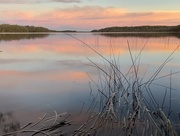 9th Jun 2024 - Myall Lakes sunset