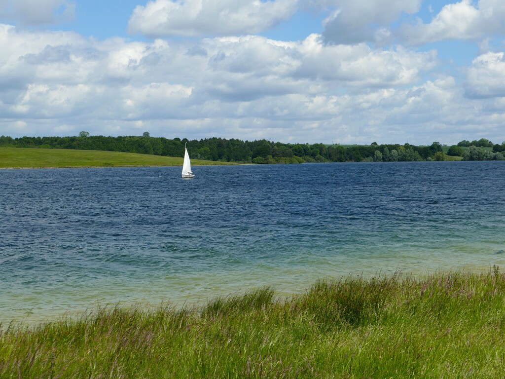 sailing on Rutland Water by cam365pix