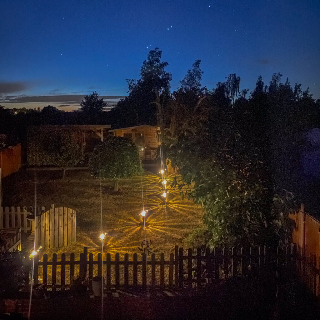 Our Garden At Night by tonus