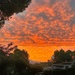 Red sky in the morning sailors warning  by wendystout