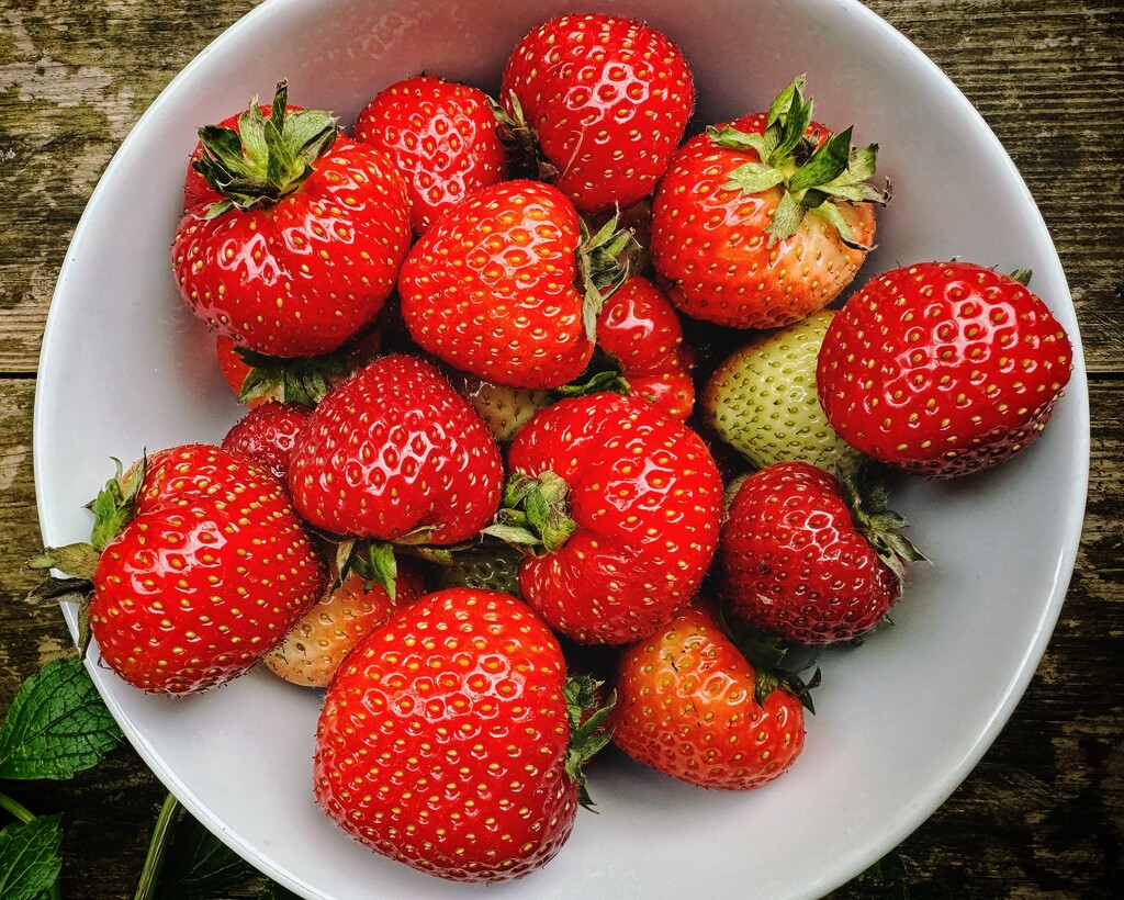 Homegrown strawberries  by anncooke76