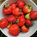 Homegrown strawberries 