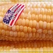 Corn on the Cob Day