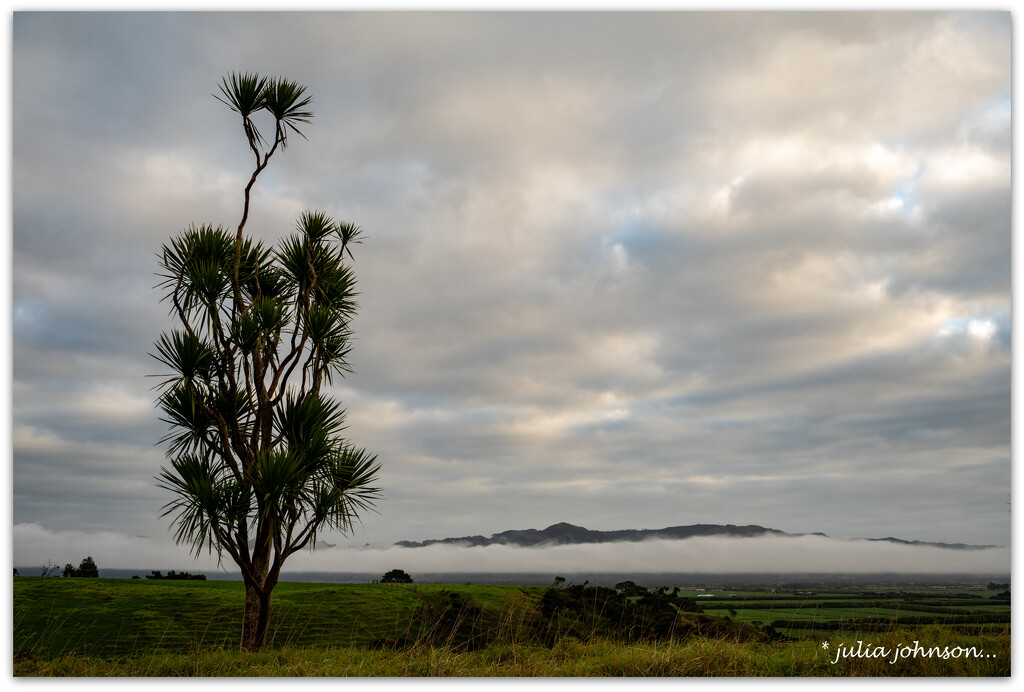 Land of the Long White Cloud.. by julzmaioro