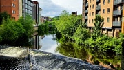 12th Jun 2024 - 164/366 - Lady's Bridge, Sheffield, UK 