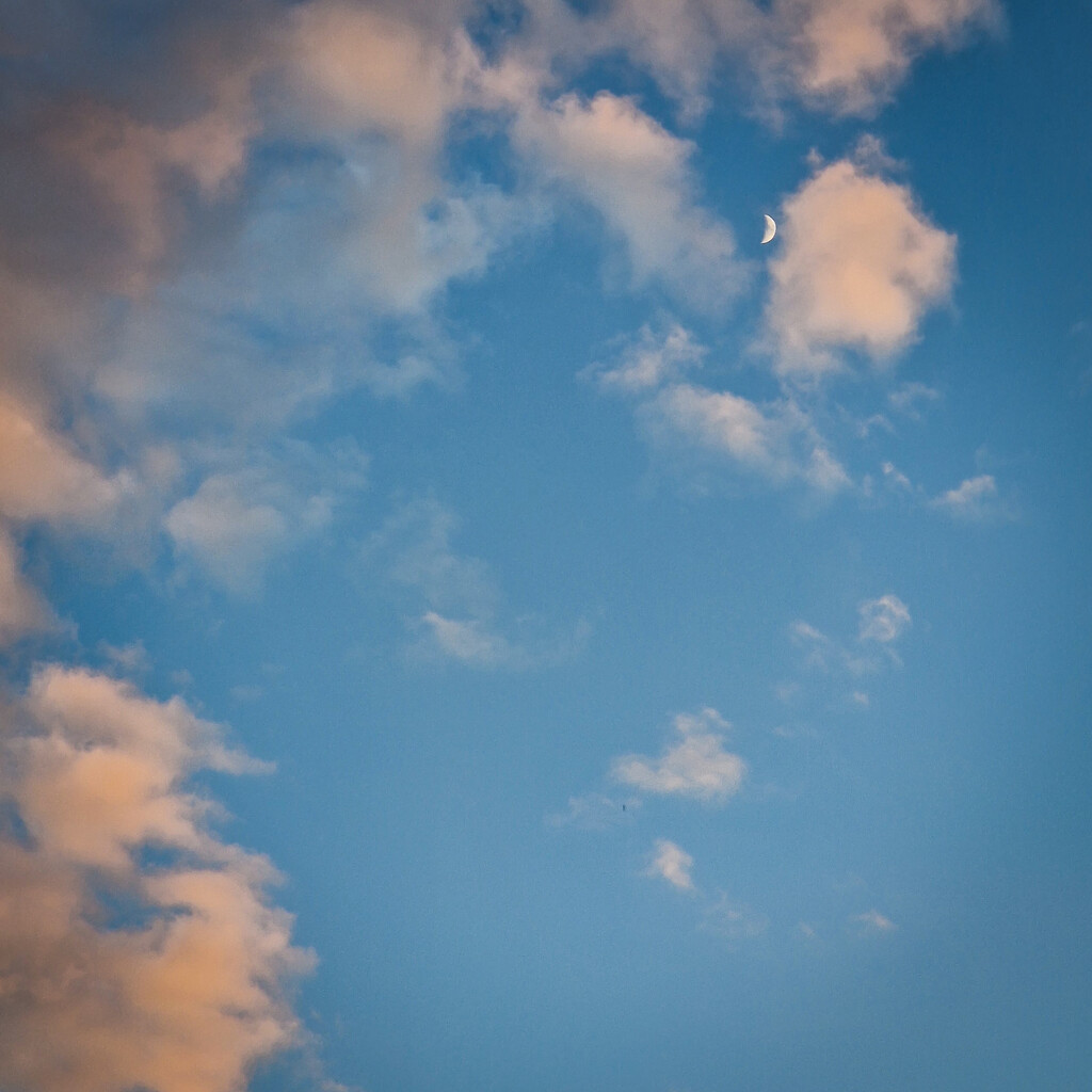 Tiny Moon by andyharrisonphotos