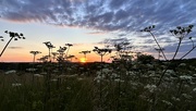 12th Jun 2024 - Wiltshire Sunset