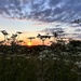 Wiltshire Sunset
