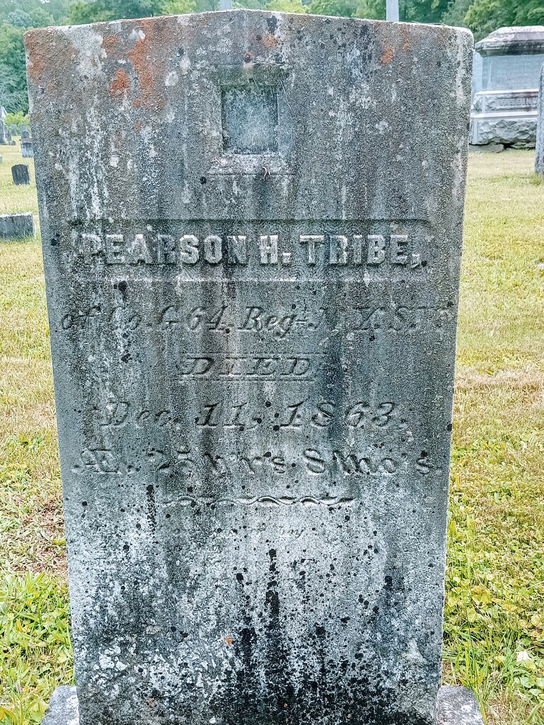 Pearson H Tribe, Co. G, 64th Infantry Regiment, New York State Militia, d. Dec. 11, 1863, Age 25 yrs, 8 mos by bernicrumb