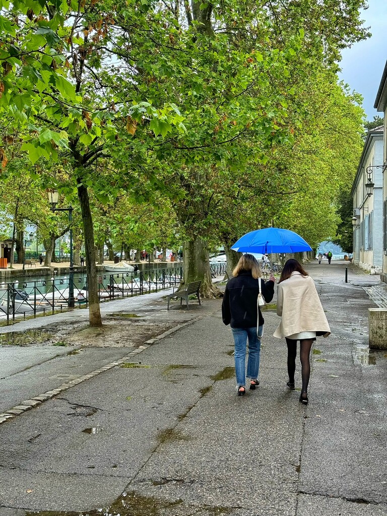 Friends under the blue umbrella  by cocobella