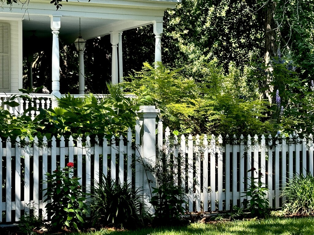 One of my favorite picket fences by congaree