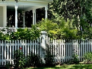 13th Jun 2024 - One of my favorite picket fences