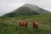 12th Jun 2024 - Ladhar Beinn