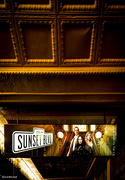 14th Jun 2024 - Sunset Boulevard