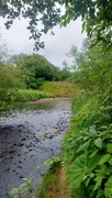 13th Jun 2024 - Daisy Nook Country Park