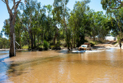 11th Jun 2024 - Driving the Gibb Valley Road