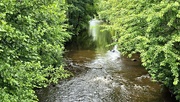 14th Jun 2024 - 166/366 - River Loxley, Sheffield, UK 